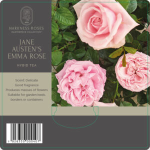JANE AUSTEN "EMMA"®