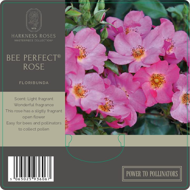BEE FERFECT®