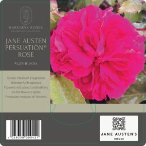 JANE AUSTEN "PERSUASION"®