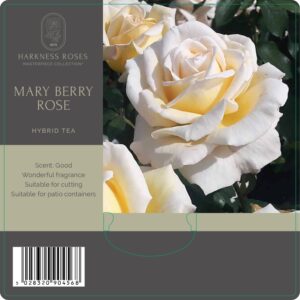 marry berry rose