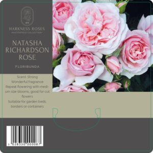 Natasha richardson rose
